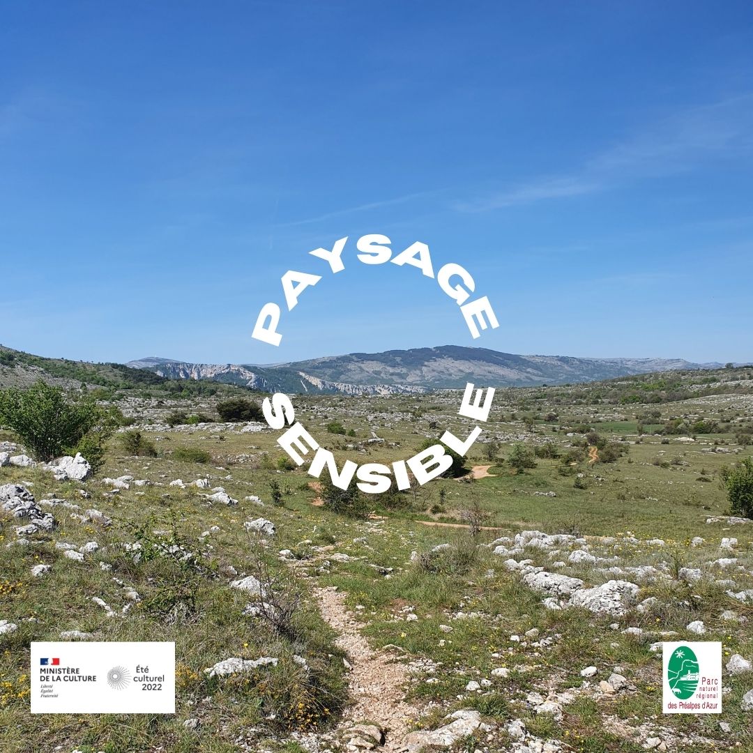 Paysage sensible – Suivi du projet – Isabelle Varlet